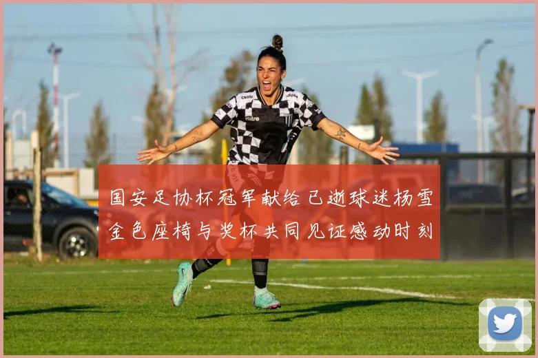 国安足协杯冠军献给已逝球迷杨雪金色座椅与奖杯共同见证感动时刻