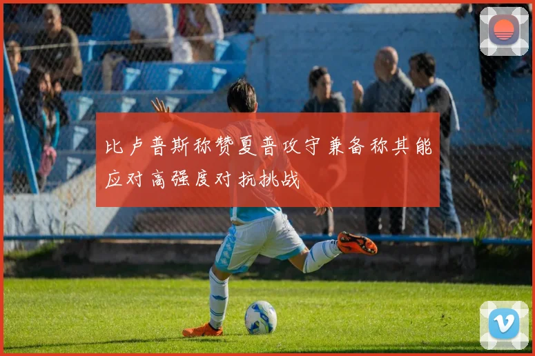 比卢普斯称赞夏普攻守兼备称其能应对高强度对抗挑战