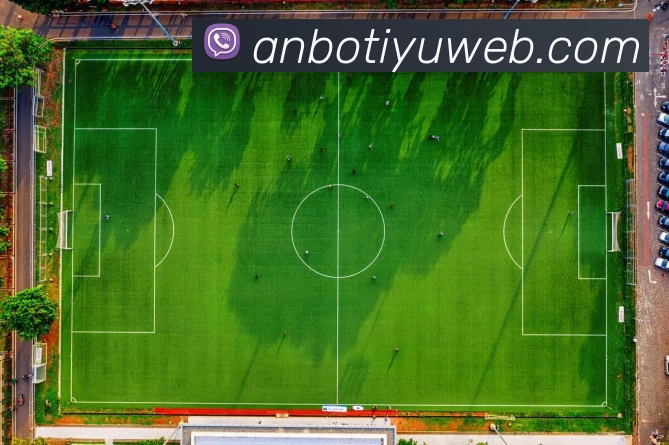 安博体育服务体系